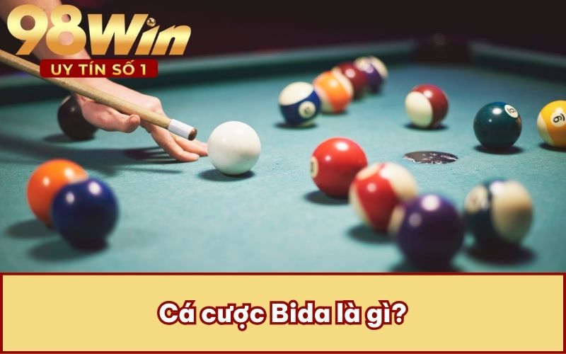 Cá cược Bida là gì?